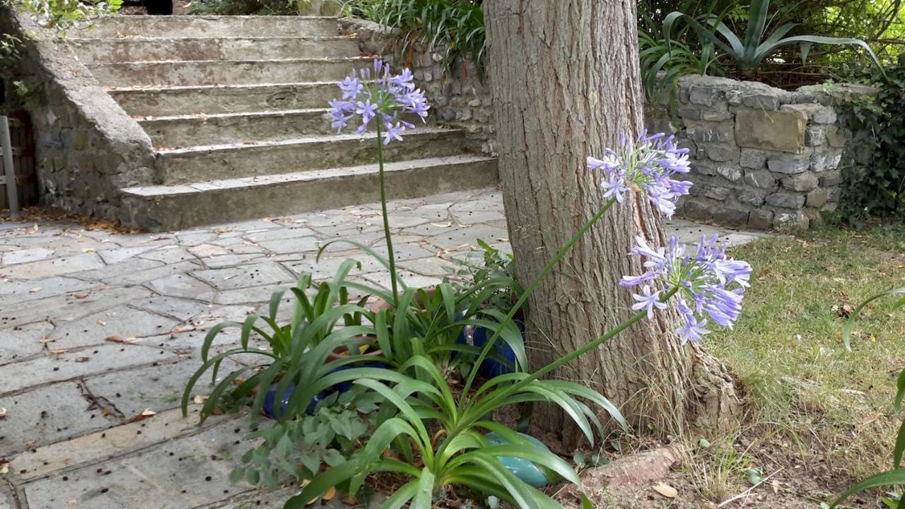 Deliziosa Casetta Con Dehor E Giardino Immersa Nel Verde Ligure Imperia Luaran gambar